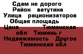 Сдам не дорого  › Район ­ ватутина › Улица ­ рационизаторов › Общая площадь ­ 12 › Цена ­ 8 000 - Тюменская обл., Тюмень г. Недвижимость » Другое   . Тюменская обл.